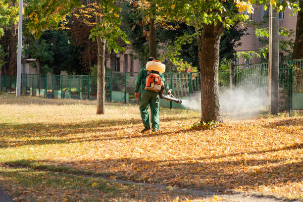 Best Mosquito Control Services  in Santa Ynez, CA