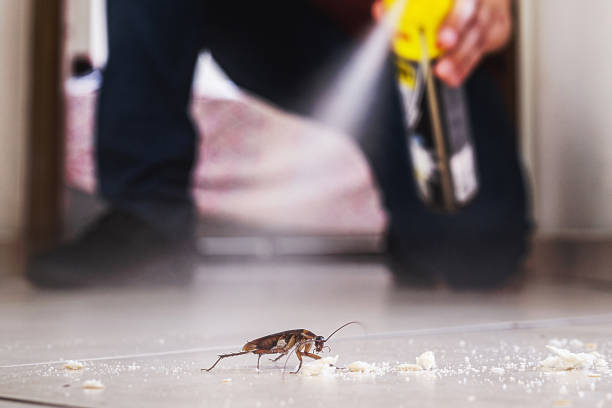 Best Wildlife Control Services  in Santa Ynez, CA
