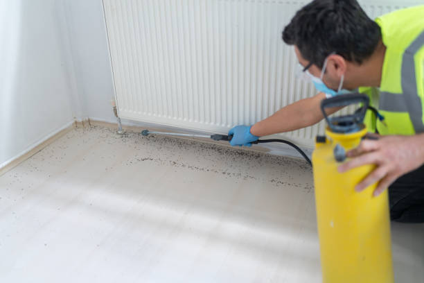 Best Wasp Removal Services  in Santa Ynez, CA